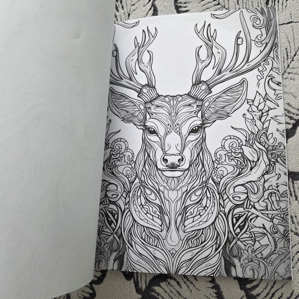 Enchanted Animals Coloring Cook - Picture 11 of 16